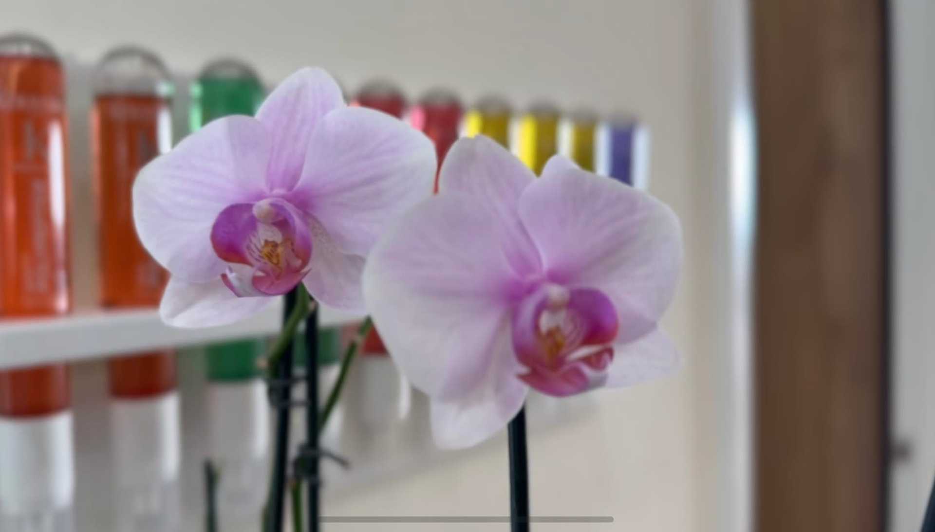 The Science of Kérastase for Flawless Hair